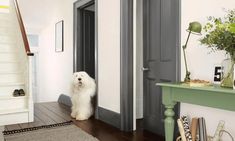 a white dog sitting on the floor next to a green table with flowers in it