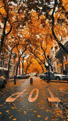 an empty street with cars parked on both sides and trees in the fall colors around it