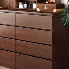 a wooden dresser with drawers and bottles on it's top, next to a potted plant