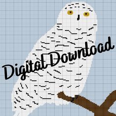 a white owl sitting on top of a tree branch with the words digital downloaded over it