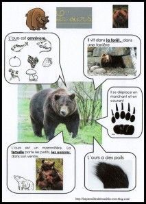 an animal poster with pictures of bears and other animals in it's speech bubbles