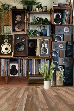 there are many speakers on the wall in this living room with wood flooring and potted plant