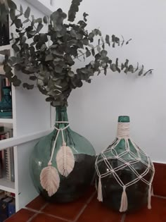 two green vases with plants in them on a red tile floor next to bookshelves