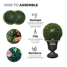 how to assemble a potted plant in the shape of a ball with instructions on how to assemble it