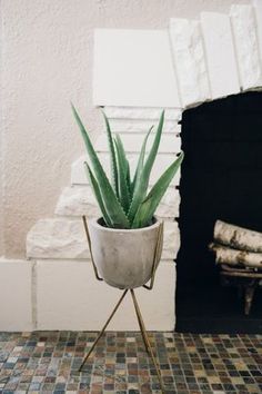 a potted plant sitting on top of a metal stand next to a fire place