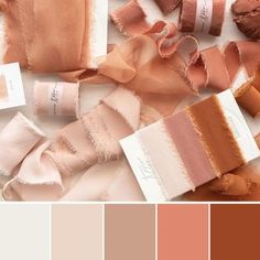 Terracotta and champagne color palette Terra Cotta Wedding, Terracotta Color Palette, Wedding Color Schemes Spring, Rusting Wedding, Sage Green Wedding, Wedding Palette, Orange Wedding, Peach Wedding, Fall Wedding Colors