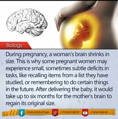 a woman's brain shrinks in size is shown with the caption below