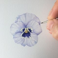 a person is painting a flower with watercolors on paper and using a pencil