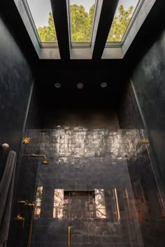 a bathroom with two skylights above the shower