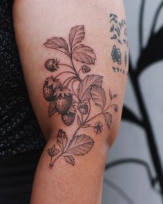 Soft strawberry tattoos on the upper arm. Strawberry Vine Arm Tattoo, Tangerine Tree Tattoo, Strawberry Leaves Tattoo, Strawberry Tattoo Sleeve, Blackberry Tattoo Design, Strawberry Patch Tattoo, Strawberry Bush Tattoo, Strawberry Branch Tattoo, Mulberry Tattoo