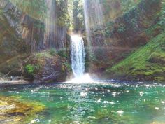 there is a waterfall in the middle of the forest with green water flowing down it