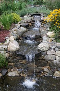 a small waterfall in the middle of a garden with rocks and plants around it, surrounded by yellow flowers