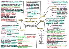 a mind map with different types of words and phrases on it, including one that is written