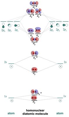 the diagram shows how each cell is connected to one another