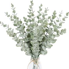 a vase filled with lots of green leaves