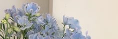 a vase filled with blue flowers sitting on top of a wooden table next to a white wall