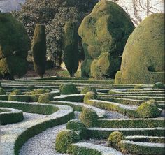 a very nice looking garden with many trees and bushes in it's center area