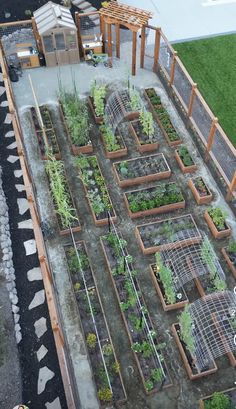 an aerial view of a vegetable garden with lots of plants in the center and small wooden structures around it