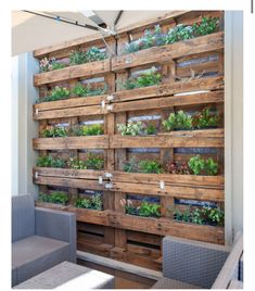 a wooden pallet filled with lots of plants on top of a wall next to wicker chairs