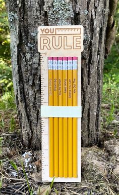 a ruler with pencils attached to it next to a tree