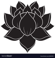 a black and white photo of a lotus flower with the words canstockpho on it