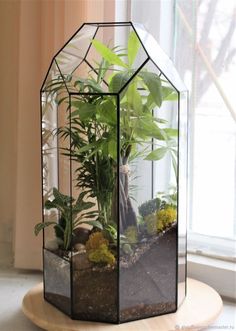 a glass house with plants inside sitting on a table