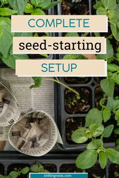 seed starting set up with text overlay that reads complete seed - starting setup