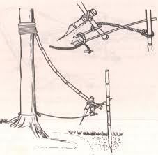 a drawing of an electric pole with wires attached to it and another wire connected to the pole