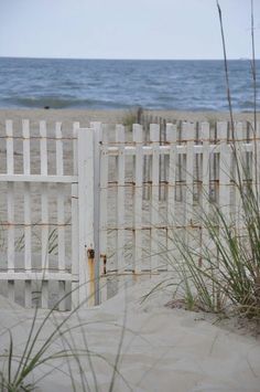 an open gate on the beach with grass growing out of it