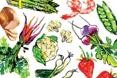 an image of vegetables and fruits drawn in watercolor on white paper with colored pencils