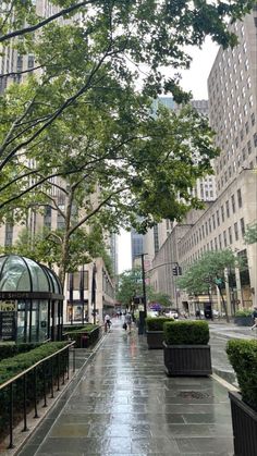 an empty city street with lots of trees and buildings in the background on a rainy day