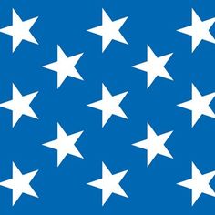 white stars on a blue background are arranged in the shape of an american state flag