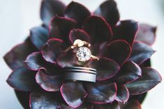 two wedding rings sitting on top of a purple flower