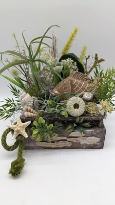 an arrangement of plants and seashells is displayed on a wooden box with rope