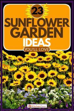 sunflower garden ideas you'll love cover art for the book 23 sunflower garden ideas you'll love