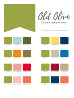 the color chart for old olive's colors combinations, including red, green and blue