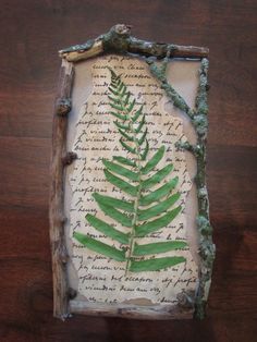 a piece of paper with a fern leaf on it and writing in the back ground