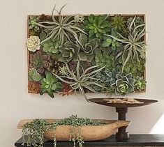 a wall mounted planter with succulents and other plants on it's side