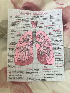 a diagram of the lungs on a sheet of paper with pink flowers in the background