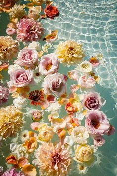 many flowers floating in the water next to each other on top of a swimming pool