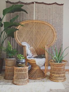 a wicker chair sitting next to potted plants