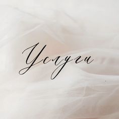 the word you spelled in cursive writing on a white background with tulle