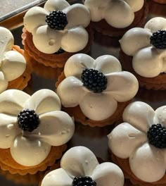 there are many cupcakes with white frosting and blackberries on the top