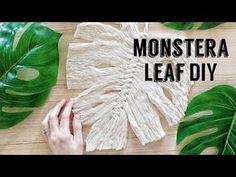 monstera leaf diy with text overlay