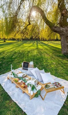 an outdoor picnic with food and drinks on a blanket in the grass near a tree