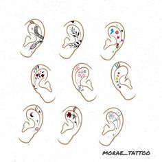 the different types of ear piercings are shown in this drawing, which includes an image of