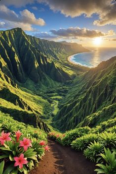 the sun is setting over lush green hills and flowers in the foreground, with an ocean on the far side