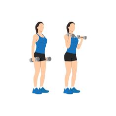 mujer haciendo curls de martillo de bíceps con mancuernas. ilustración vectorial plana aislada en una capa diferente. personaje de entrenamiento Gym Workout Plan For Women, Gym Plan, Cartoon 3d, Flat Vector Illustration, Workout Plan For Women, Workout Plan Gym, Bicep Curls, Flat Vector