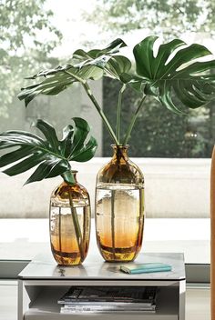 two vases with plants in them sitting on a table