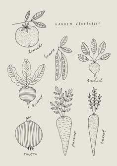 an image of garden vegetables drawn in black and white